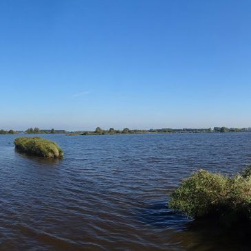Hondshalstermeer (Groningen)